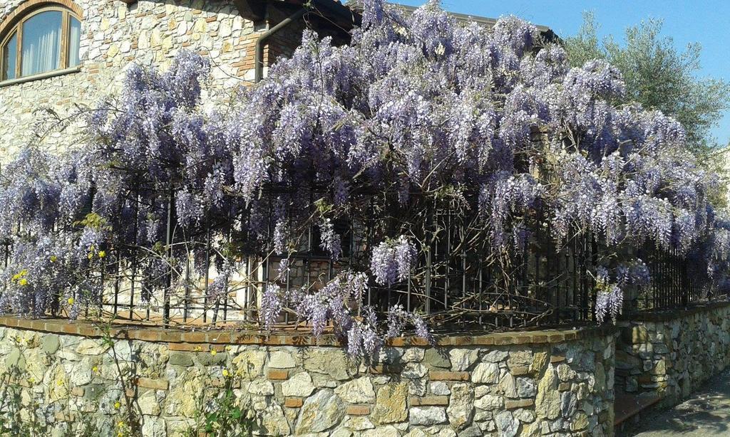 Pietra E Glicine B&B Pieve a Nievole Exterior foto